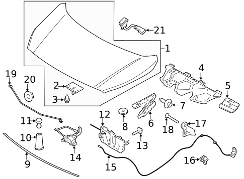 Hood & Components for 2019 Ford Transit Connect #0