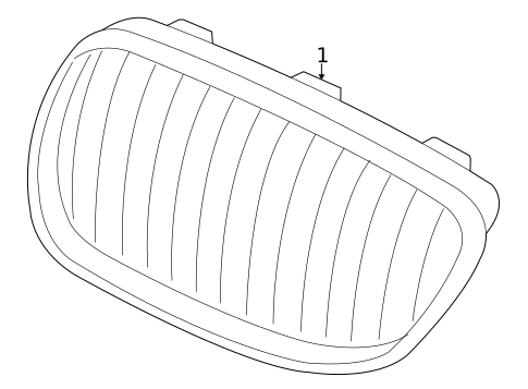 Grille & Components for 2011 BMW 128i #1