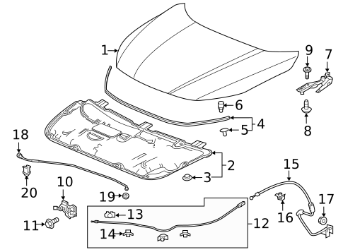Hood & Components for 2019 Honda Insight #0