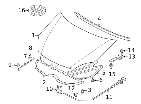 Hood & Components for 2007 Suzuki Aerio #0