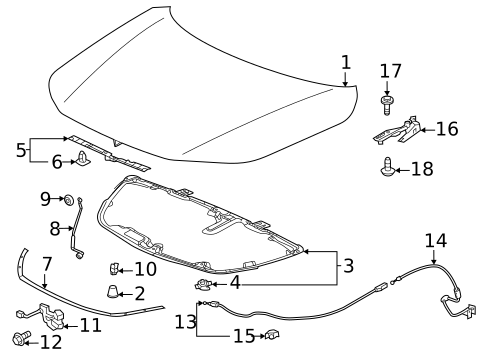Hood & Components for 2025 Honda Civic #0
