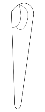 11516382 - Suspension: Mount Bolt Nut for Buick: Cascada, Century, Enclave, Encore, LaCrosse, LeSabre, Lucerne, Rainier, Regal, Rendezvous, Skylark | Cadillac: ATS, CT4, CT5, CTS, DeVille, DTS, ELR, Escalade ESV, Seville, XTS | Chevrolet: Blazer, Camaro, Caprice, Captiva Sport, Cavalier, Corvette, Equinox, Impala, Impala Limited, Lumina, Lumina APV, Malibu, Malibu Limited, Monte Carlo, Silverado 1500, Silverado 1500 LD, Silverado 2500 HD, Silverado 3500 HD, Sonic, Spark, Spark EV, SS, SSR, Suburban 1500, Suburban 2500, Trailblazer, Trailblazer EXT, Traverse, Trax, Uplander, Venture | GMC: Acadia, Acadia Limited, Envoy, Envoy XL, Envoy XUV, Jimmy, Sierra 1500, Sierra 1500 Limited, Sierra 2500 HD, Sierra 3500 HD, Terrain, Yukon XL 1500, Yukon XL 2500 | Hummer: H3, H3T | Oldsmobile: Achieva, Alero, Aurora, Bravada, Cutlass, Intrigue, Silhouette | Pontiac: Aztek, Bonneville, Grand Am, Grand Prix, Montana, Sunfire, Torrent, Trans Sport | Saturn: Ion, Outlook, Vue Image