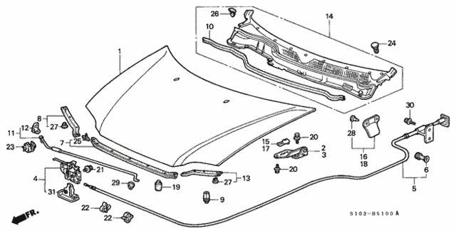Hood for 2001 Honda CR-V #0