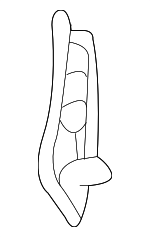 90916CG002 - Body: Handle Mask for Infiniti Image