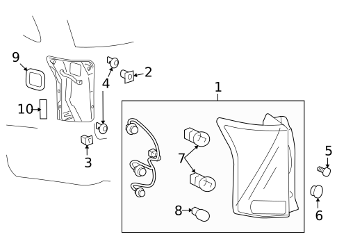 Bulbs - Chassis for 2007 Suzuki XL-7 #1