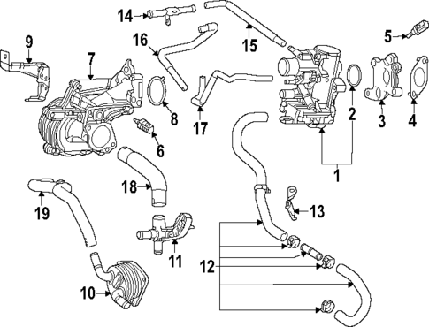Hoses & Lines for 2025 Toyota Grand Highlander #0