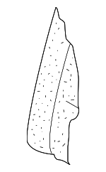 1K5885776P - Body: Seat Back Cushion for Volkswagen Image