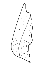 3C0885775A - Body: Seat Back Pad for Volkswagen: Passat Image