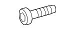FYP500020 - Body: Striker Screw for Land-Rover Image