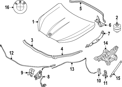 Hood & Components for 2025 BMW X2 #0