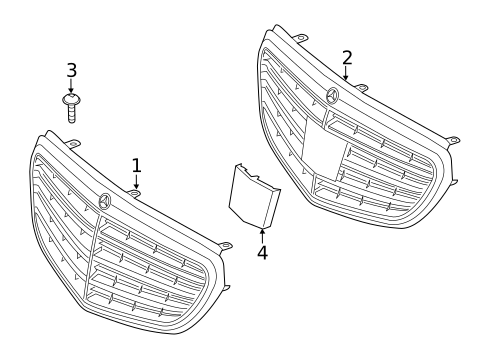 Grille & Components for 2016 Mercedes-Benz E63 AMG S #1