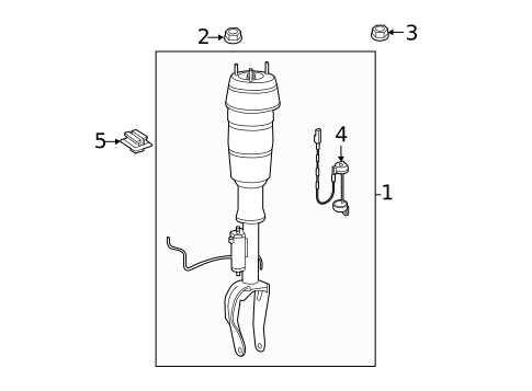 Shocks & Components for 2015 Mercedes-Benz ML 250 #3