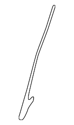 971882771 - Body: Lining for Porsche Image