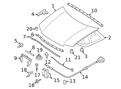 Hood & Components for 2012 Ford Escape #0