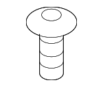 License Bracket Screw