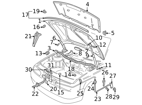 Hood & Components for 2005 Volkswagen Jetta #1