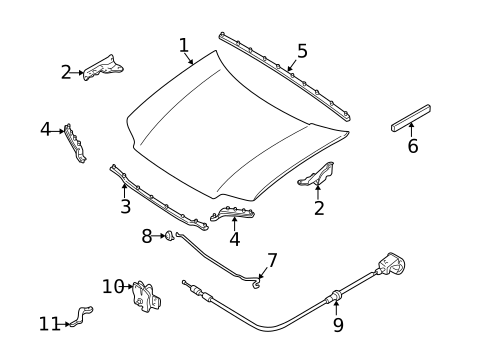 Hood & Components for 2005 Mercury Mariner #0