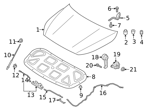 Hood & Components for 2022 Kia Forte #0