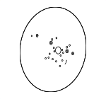 78501TE0A51ZA - Steering: Steering Wheel for Honda: Accord, Accord Crosstour, Crosstour Image