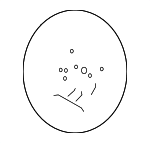 561103F90027 - Steering: Steering Wheel for Kia: Amanti Image