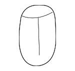 75129AC010 - Body: Weatherstrip Cushion for Lexus: CT200h, ES300, ES300h, ES330, ES350, NX250, NX350, NX350h, NX450h+, RX330, RX350, RX400h, TX350, TX500h, TX550h+ Image