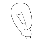 265516J000 - Electrical: Socket for Nissan Image