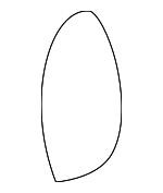 3B0881921A6EL - : Headrest Cover for Volkswagen: Passat Image