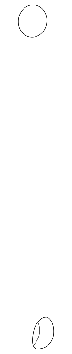 25623415 - Body: Lower Hinge Nut for Buick: LeSabre | Cadillac: DeVille | Pontiac: Bonneville Image