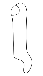 5896416010 - Body: Lid Assembly Stopper for Toyota: 4Runner, Camry, Land Cruiser, Prius, Tacoma, Tundra Image