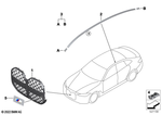 51138738565 - : Grille Front for BMW Image