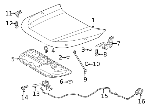Hood & Components for 2025 Toyota RAV4 #0