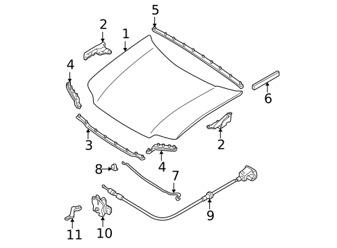 Hood & Components for 2004 Ford Escape #0