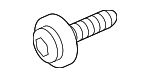 19846529 - Electrical: Fog Lamp Assembly Screw for Smart Image