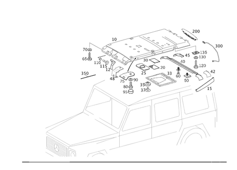 Headliner for 2014 Mercedes-Benz G550 #0
