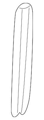 HJA5342BB - Body: Seal for Jaguar Image