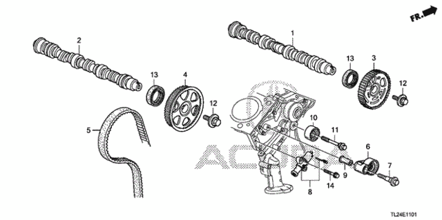 Camshaft - Timing Belt (V6) for 2011 Acura TSX #0