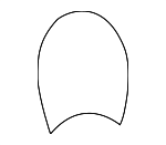 GJB4316AAAGF - Body: Upper Cover for Jaguar Image