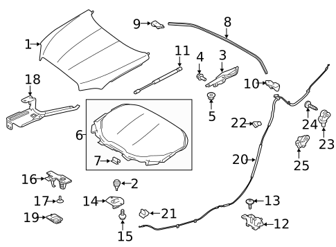 Hood & Components for 2019 Jaguar XJR575 #0