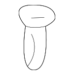 61667006063 - Body: Strainer for BMW: 128i, 135i, 228i, 228i xDrive, 230i, 230i xDrive, 320i, 320i xDrive, 323Ci, 323i, 325Ci, 325i, 325xi, 328Ci, 328d, 328d xDrive, 328i, 328i GT xDrive, 328i xDrive, 328xi, 330Ci, 330e, 330i, 330i GT xDrive, 330i xDrive, 330xi, 335d, 335i, 335i GT xDrive, 335i xDrive, 335is, 335xi, 340i, 340i GT xDrive, 340i xDrive, 428i, 428i Gran Coupe, 428i xDrive, 428i xDrive Gran Coupe, 430i, 430i Gran Coupe, 430i xDrive, 430i xDrive Gran Coupe, 435i, 435i Gran Coupe, 435i xDrive, 435i xDrive Gran Coupe, 440i, 440i Gran Coupe, 440i xDrive, 440i xDrive Gran Coupe, 525i, 525xi, 528i, 528i xDrive, 528xi, 530e, 530e xDrive, 530i, 530i xDrive, 530xi, 535d, 535d xDrive, 535i, 535i GT, 535i GT xDrive, 535i xDrive, 535xi, 540d xDrive, 540i, 540i xDrive, 545i, 550e xDrive, 550i, 550i GT, 550i GT xDrive, 550i xDrive, 640i, 640i Gran Coupe, 640i xDrive, 640i xDrive Gran Coupe, 640i xDrive Gran Turismo, 645Ci, 650i, 650i Gran Coupe, 650i xDrive, 650i xDrive Gran Coupe, 740e xDrive, 740i, 740i xDrive, 740Ld xDrive, 740Li, 740Li xDrive, 745e xDrive, 745i, 745Li, 750i, 750i xDrive, 750Li, 750Li xDrive, 760i, 760Li, 840i, 840i Gran Coupe, 840i xDrive, 840i xDrive Gran Coupe, ActiveHybrid 3, ActiveHybrid 5, ActiveHybrid 7, Alpina B6 xDrive Gran Coupe, Alpina B7, Alpina B7 xDrive, Alpina B7L, Alpina B7L xDrive, Alpina B8 Gran Coupe, Alpina XB7, i3, i3s, i8, M2, M235i, M235i xDrive, M240i, M240i xDrive, M3, M4, M5, M550i xDrive, M6, M6 Gran Coupe, M760i xDrive, M8, M8 Gran Coupe, M850i xDrive, M850i xDrive Gran Coupe, X1, X2, X3, X4, X5, X6, X7, XM, Z3, Z4, Z8 Image