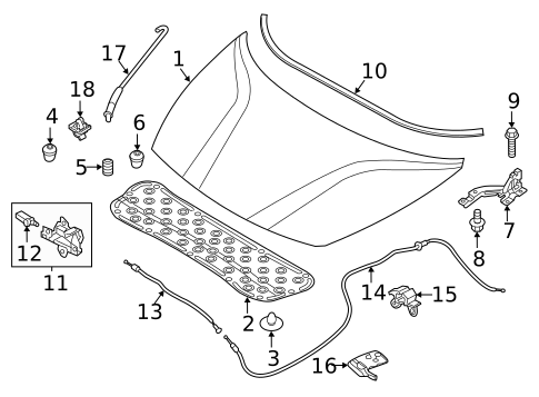 Hood & Components for 2018 Kia Rio #0
