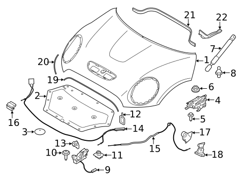 Hood & Components for 2020 Mini Cooper #0