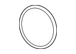 18307581970 - Exhaust: Converter Gasket for BMW Image
