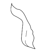 4M8885776C - Body: Seat Back Pad for Audi: RS Q8, SQ8 Image