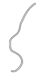 9009933080 - Body: Washer Hose for Scion: iQ, tC, xA, xB, xD | Toyota: 4Runner, C-HR, Camry, Corolla, Crown, Crown Signia, FJ Cruiser, GR Corolla, Highlander, Land Cruiser, Mirai, Prius, Prius AWD-e, Prius C, Prius Plug-In, Prius Prime, Prius V, RAV4, RAV4 Prime, Tacoma, Venza, Yaris Image