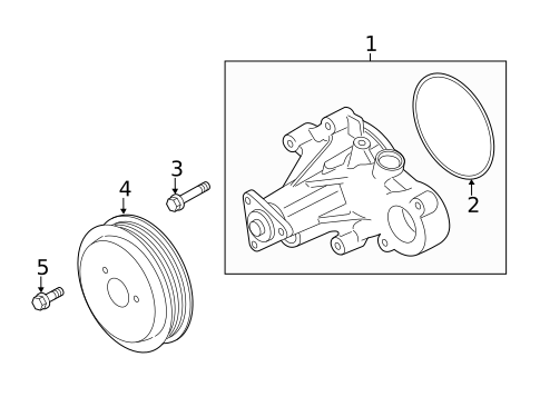 Water Pump & Related Components for 2016 Ford Mustang #0