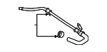 PC3Z8260C - Belts &amp; Cooling: Radiator Coolant Hose for Ford Image