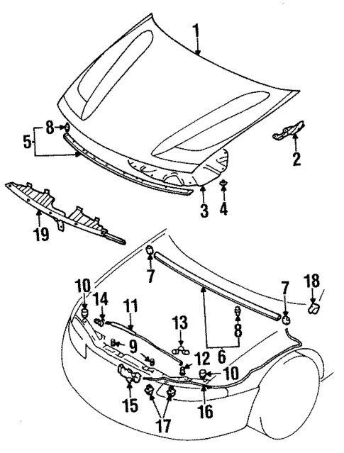 Hood & Components for 1998 Dodge Avenger #0