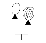 99763110202 - Electrical: Headlight Bulb Cap for Porsche: 911, Boxster, Cayman Image