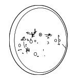 7JM50WU6AA - : Steering Wheel for Jeep: Compass Image