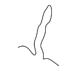 2324150F00 - Maintenance &amp; Lubrication: Fork Clip for Suzuki Image